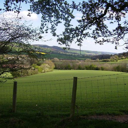 Highfield Bed and Breakfast Hay-On-Wye Buitenkant foto