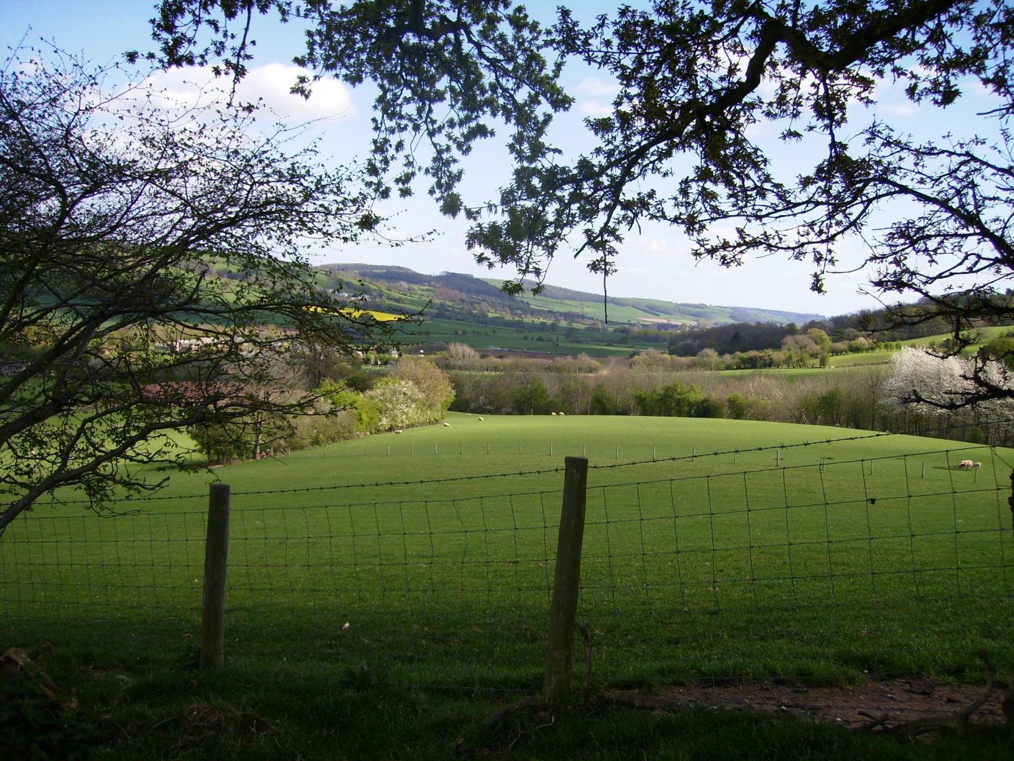 Highfield Bed and Breakfast Hay-On-Wye Buitenkant foto