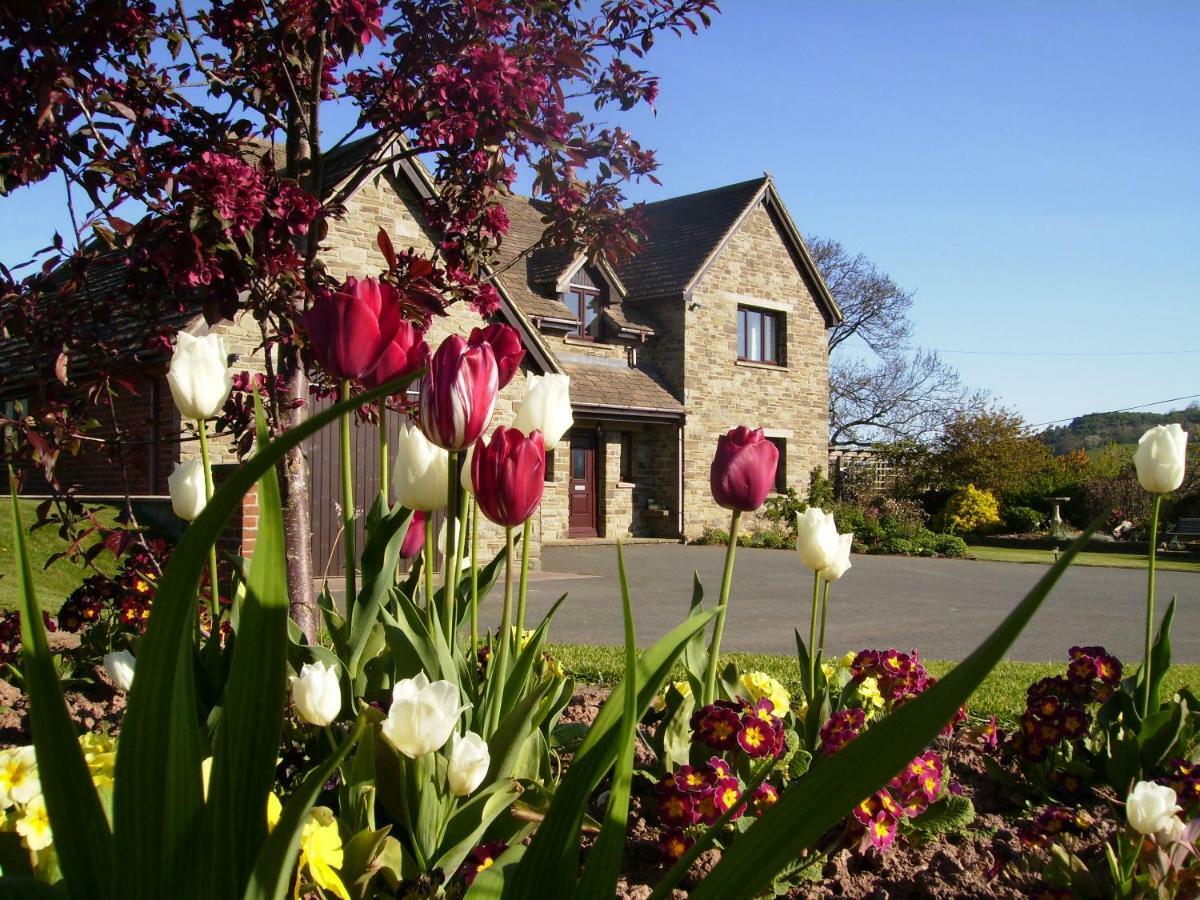 Highfield Bed and Breakfast Hay-On-Wye Buitenkant foto