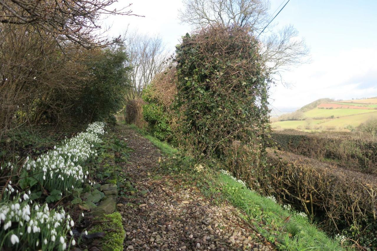 Highfield Bed and Breakfast Hay-On-Wye Buitenkant foto